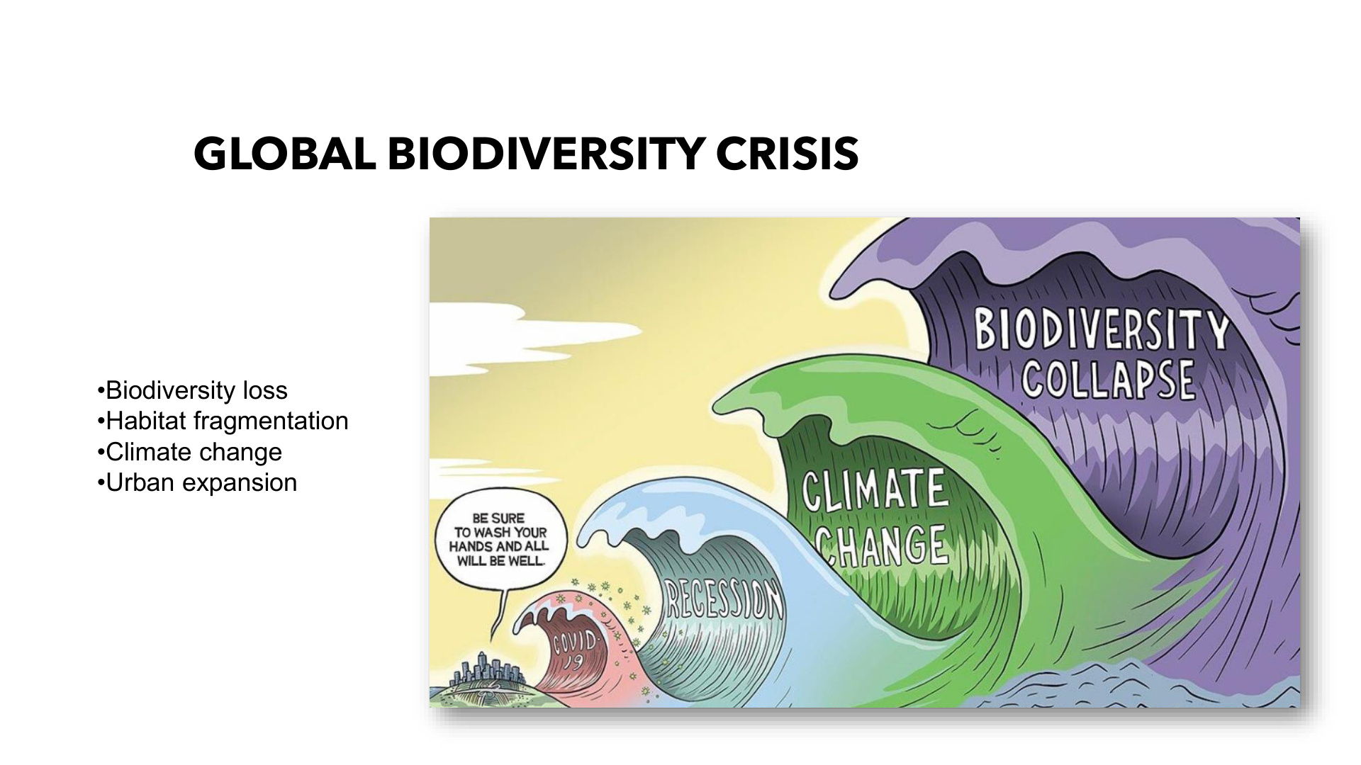 Global Biodiversity Crisis – Prof. Fatih Sünbül